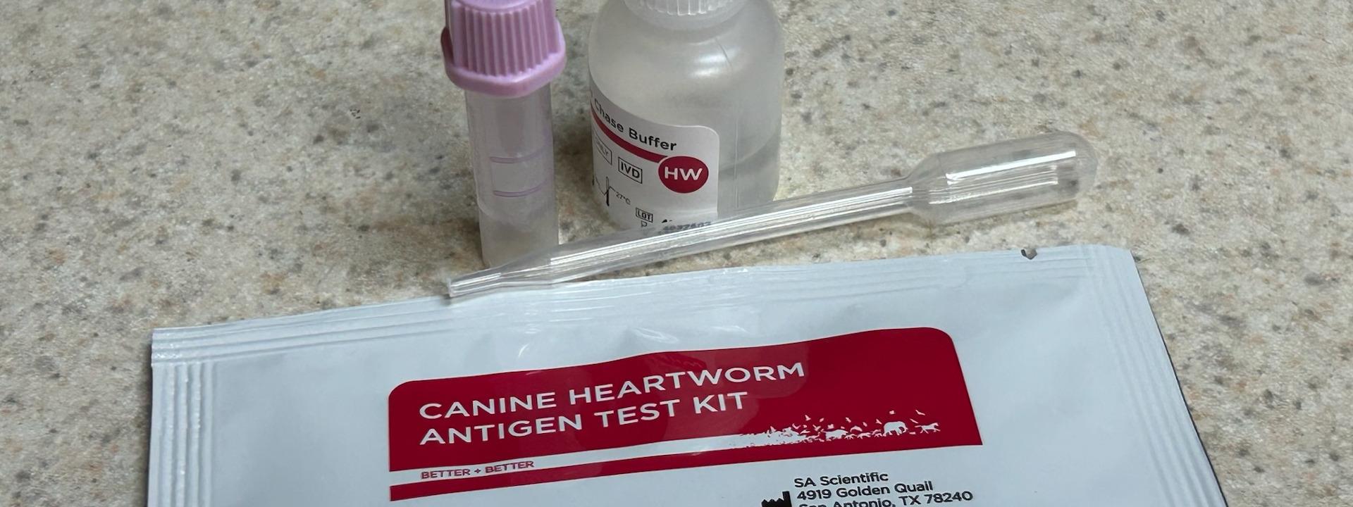 In-house Heartworm Test